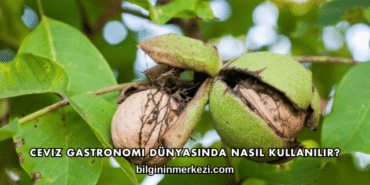 Ceviz Gastronomi Dünyasında Nasıl Kullanılır?