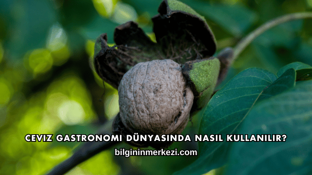Ceviz Gastronomi Dünyasında Nasıl Kullanılır?