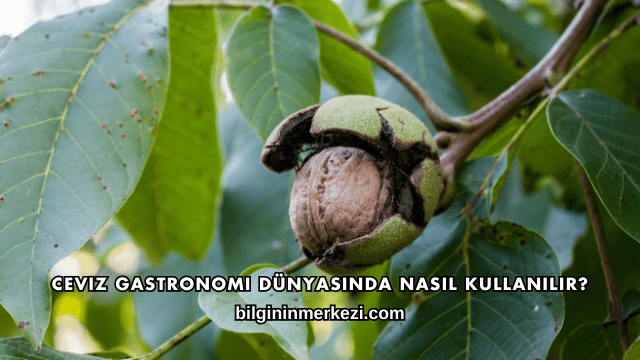 Ceviz Gastronomi Dünyasında Nasıl Kullanılır?
