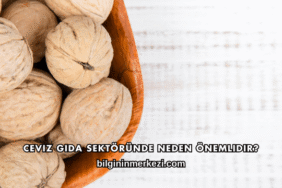 Ceviz Gıda Sektöründe Neden Önemlidir?