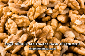 Ceviz Günlük Beslenmede Nasıl Tüketilmeli?
