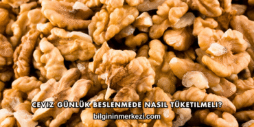 Ceviz Günlük Beslenmede Nasıl Tüketilmeli?