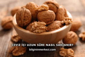 Ceviz İçi Uzun Süre Nasıl Saklanır?