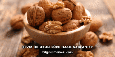 Ceviz İçi Uzun Süre Nasıl Saklanır?