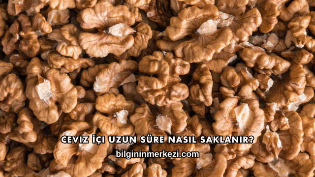 Ceviz İçi Uzun Süre Nasıl Saklanır?
