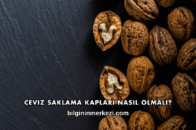 Ceviz Saklama Kapları Nasıl Olmalı?