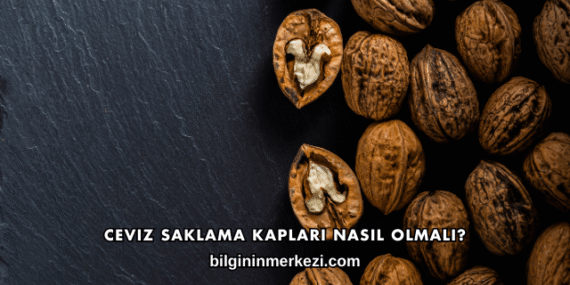 Ceviz Saklama Kapları Nasıl Olmalı?