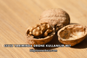Ceviz Tarımında Drone Kullanılır mı?