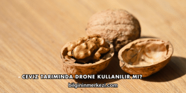 Ceviz Tarımında Drone Kullanılır mı?