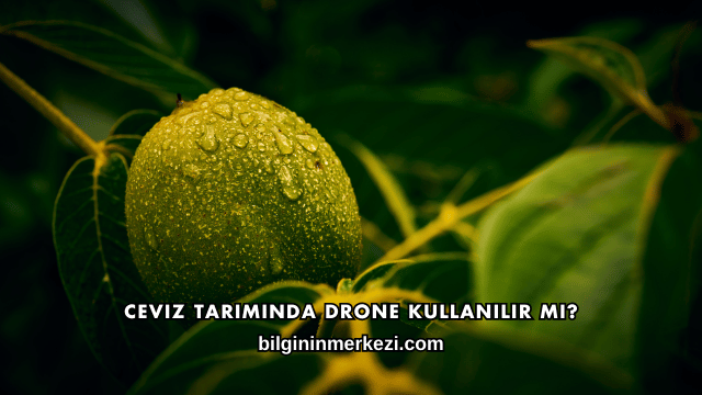 Ceviz Tarımında Drone Kullanılır mı?