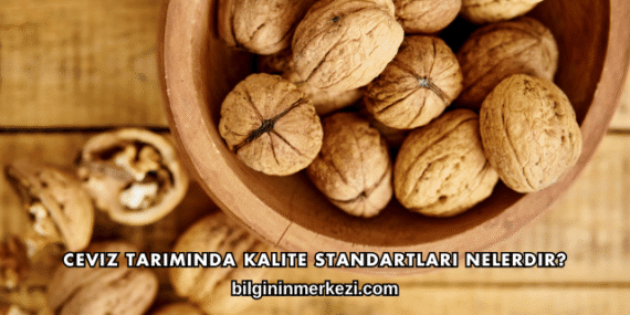 Ceviz Tarımında Kalite Standartları Nelerdir?