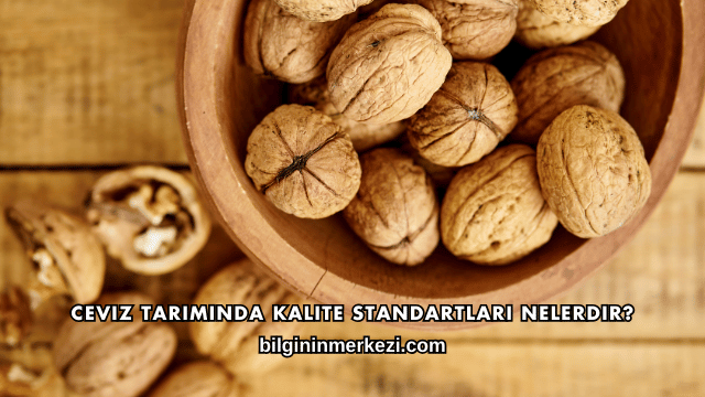 Ceviz Tarımında Kalite Standartları Nelerdir?