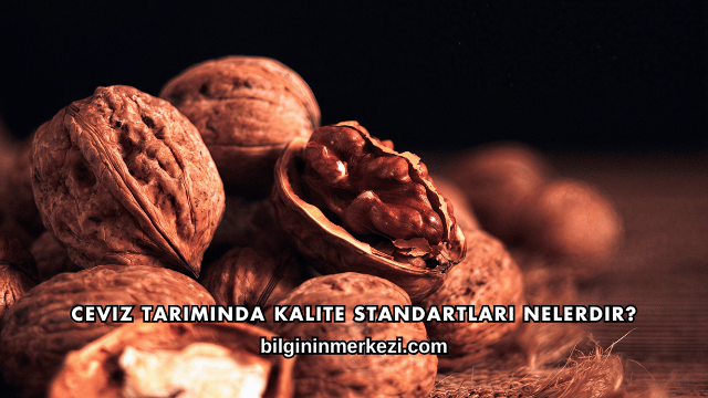 Ceviz Tarımında Kalite Standartları Nelerdir?