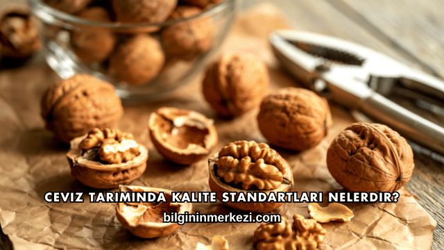 Ceviz Tarımında Kalite Standartları Nelerdir?