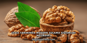 Ceviz Tarımında Modern Sulama Sistemleri Nelerdir?