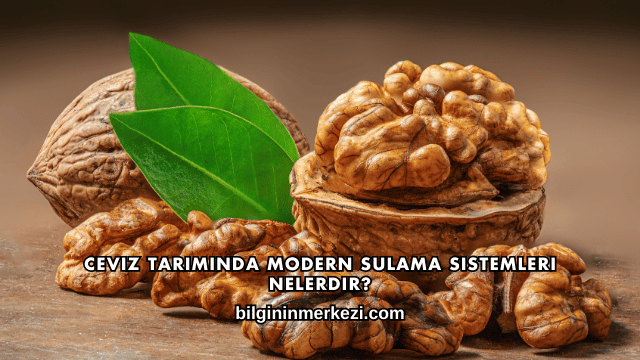 Ceviz Tarımında Modern Sulama Sistemleri Nelerdir?