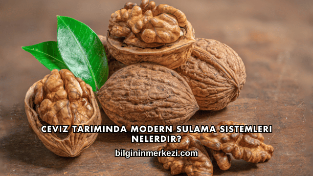Ceviz Tarımında Modern Sulama Sistemleri Nelerdir?