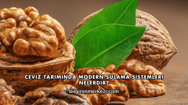 Ceviz Tarımında Modern Sulama Sistemleri Nelerdir?