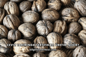 Ceviz Tarımında Sertifikalı Üretim Nedir?