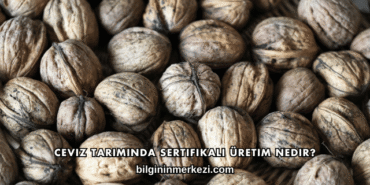 Ceviz Tarımında Sertifikalı Üretim Nedir?