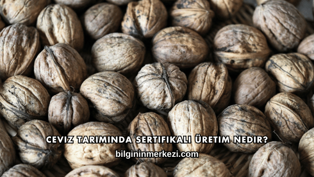 Ceviz Tarımında Sertifikalı Üretim Nedir?