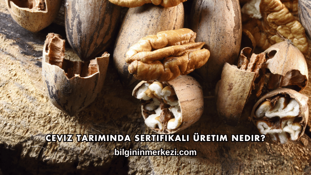 Ceviz Tarımında Sertifikalı Üretim Nedir?