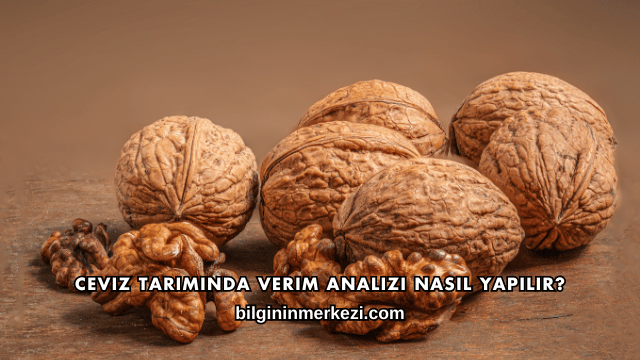 Ceviz Tarımında Verim Analizi Nasıl Yapılır?