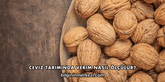 Ceviz Tarımında Verim Nasıl Ölçülür?