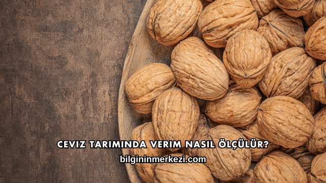 Ceviz Tarımında Verim Nasıl Ölçülür?