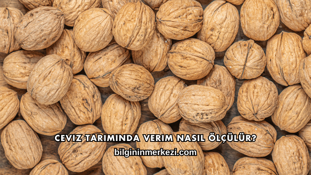Ceviz Tarımında Verim Nasıl Ölçülür?