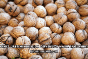 Ceviz Üretiminde Gıda Güvenliği Nasıl Sağlanır?