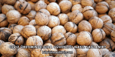 Ceviz Üretiminde Gıda Güvenliği Nasıl Sağlanır?