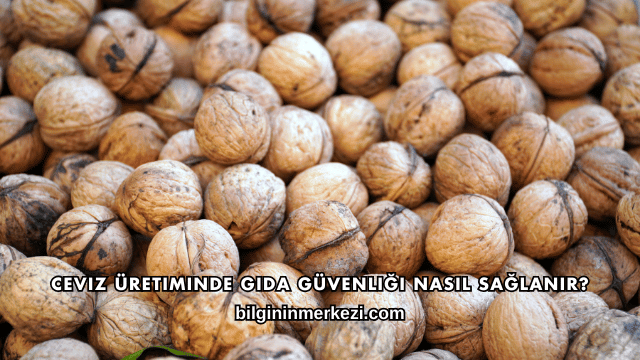 Ceviz Üretiminde Gıda Güvenliği Nasıl Sağlanır?