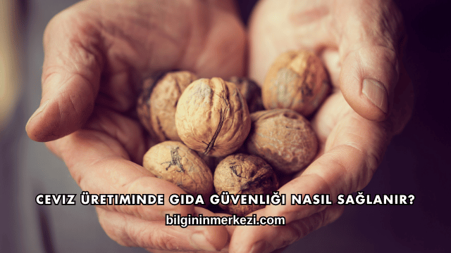 Ceviz Üretiminde Gıda Güvenliği Nasıl Sağlanır?