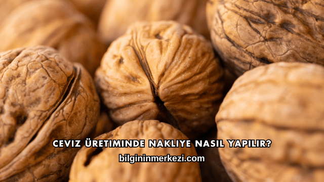 Ceviz Üretiminde Nakliye Nasıl Yapılır?