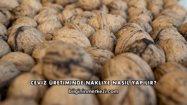 Ceviz Üretiminde Nakliye Nasıl Yapılır?
