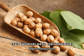 Ceviz Ürünleri Nasıl Çeşitlendirilir?