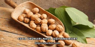 Ceviz Ürünleri Nasıl Çeşitlendirilir?