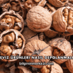 Ceviz Ürünleri Nasıl Depolanmalı?