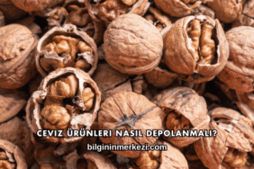 Ceviz Ürünleri Nasıl Depolanmalı?