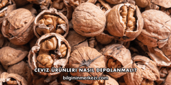 Ceviz Ürünleri Nasıl Depolanmalı?