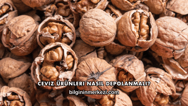 Ceviz Ürünleri Nasıl Depolanmalı?