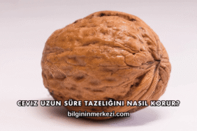 Ceviz Uzun Süre Tazeliğini Nasıl Korur?