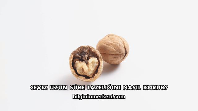 Ceviz Uzun Süre Tazeliğini Nasıl Korur?