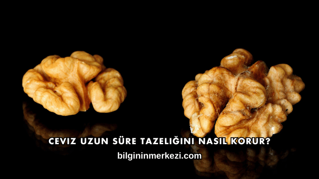 Ceviz Uzun Süre Tazeliğini Nasıl Korur?