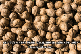 Cevizden Yeni Ürün Geliştirmek Mümkün mü?
