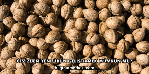 Cevizden Yeni Ürün Geliştirmek Mümkün mü?