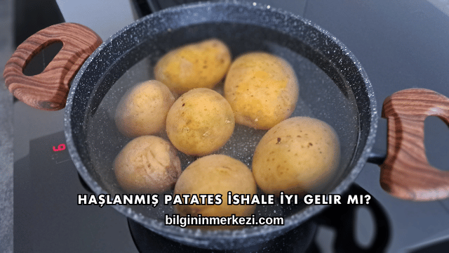 Haşlanmış Patates İshale İyi Gelir mi?