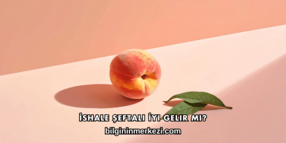 İshale Şeftali İyi Gelir mi?