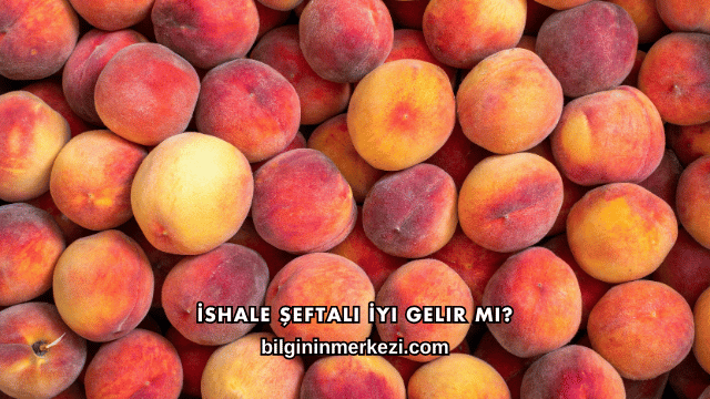 İshale Şeftali İyi Gelir mi?